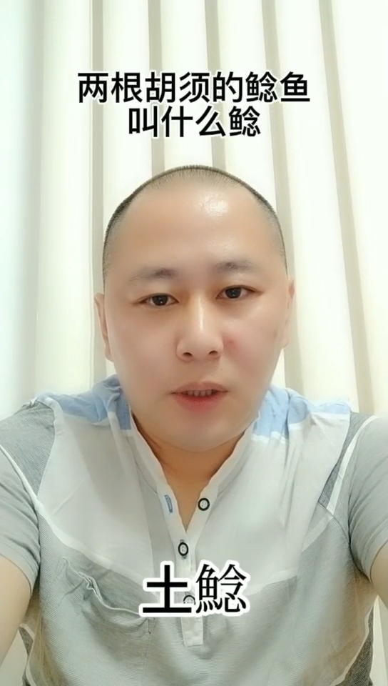 两根胡须的鲶鱼叫什么鲶