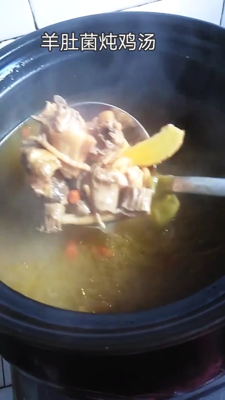 羊肚菌炖鸡汤