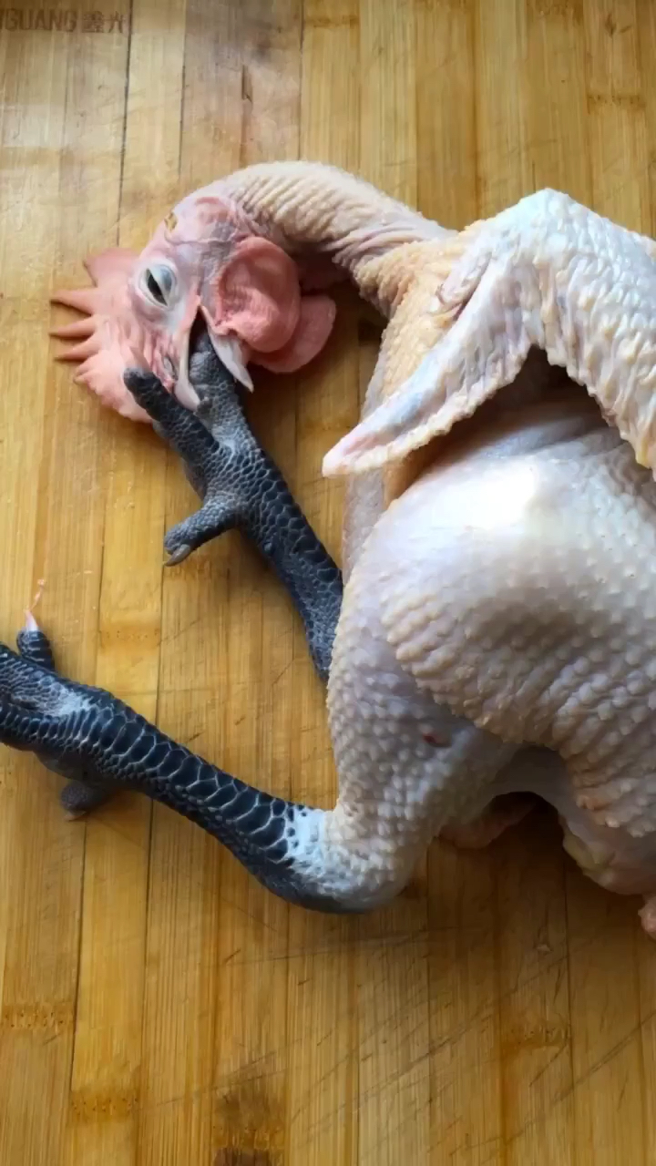 辣炒小公鸡