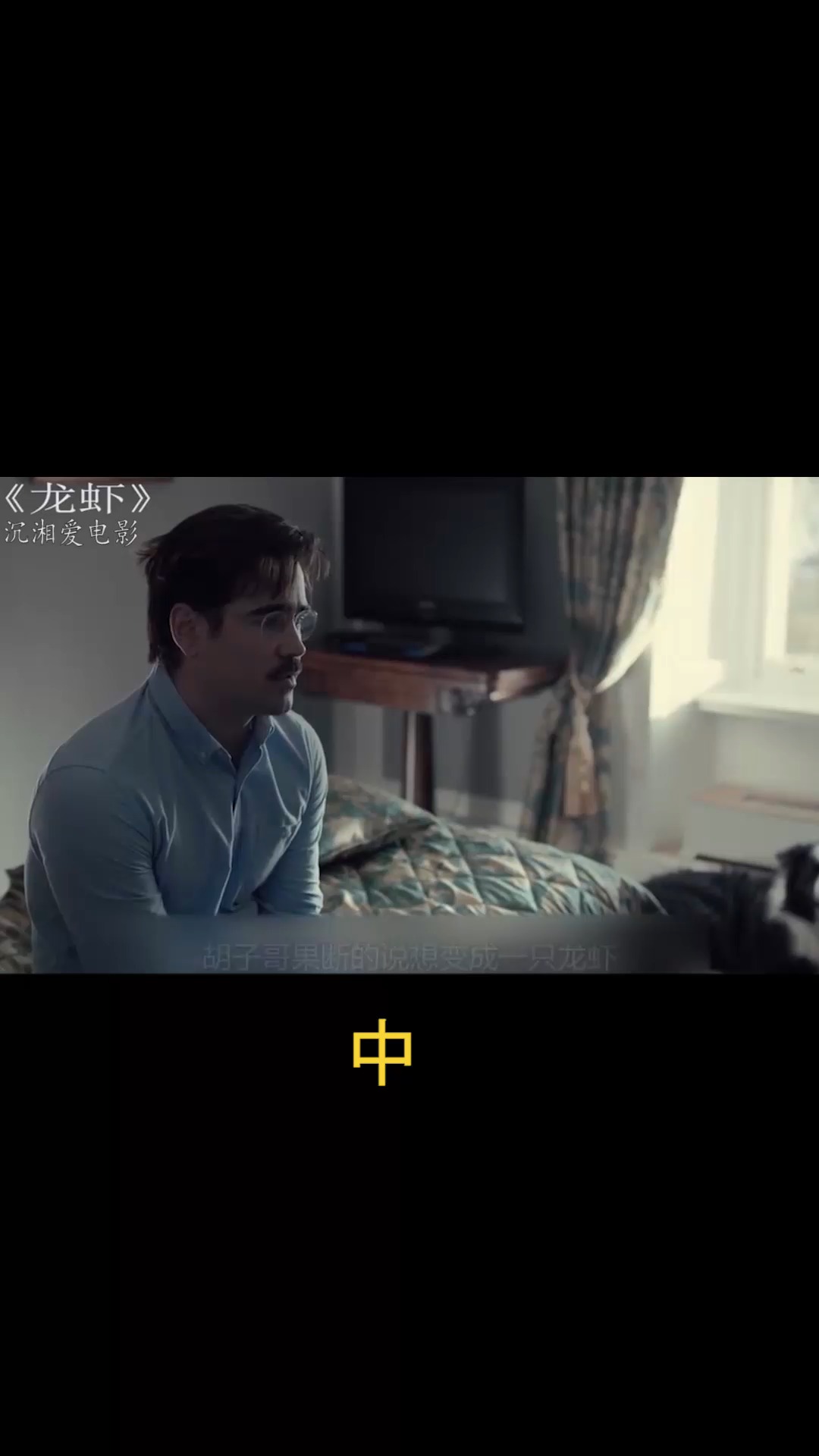 电影【龙虾】第2部分