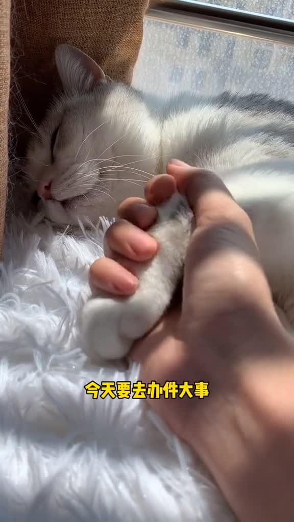 磕了好久的cp终于在现场圆梦了。安生的爸爸,,王泡芙,两个小朋友要幸福鸭