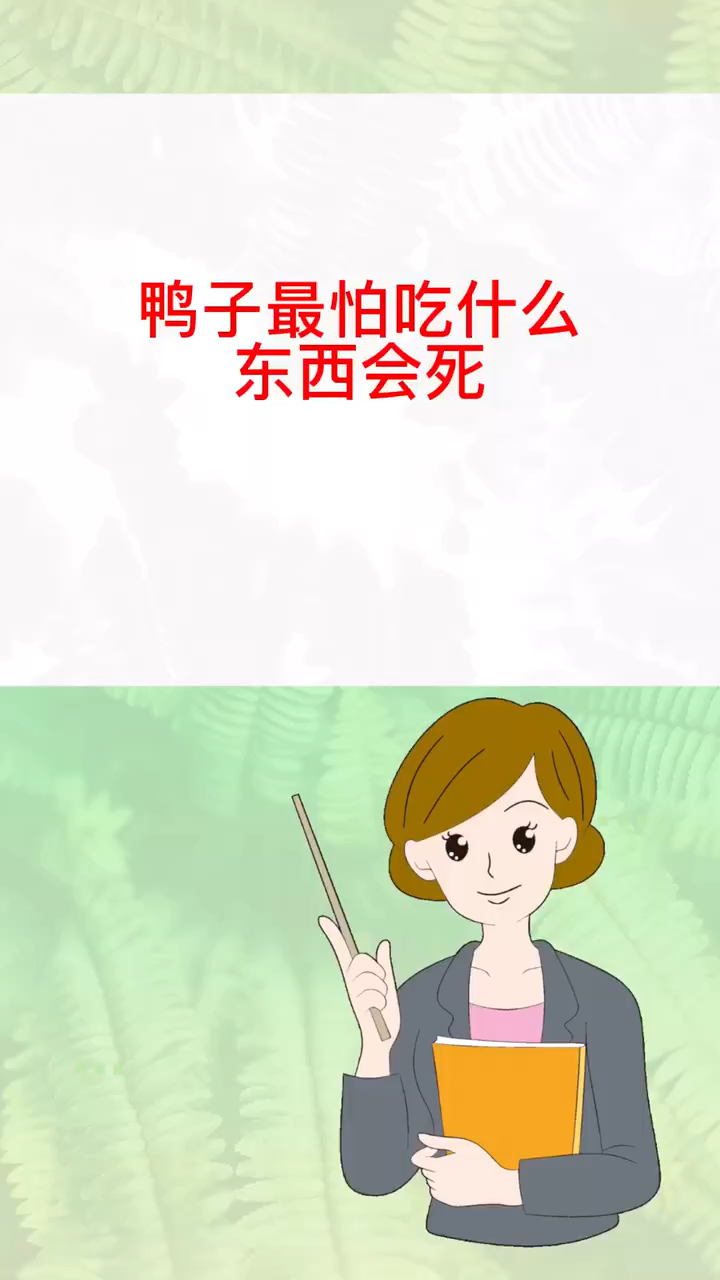 鸭子最怕吃什么东西会死