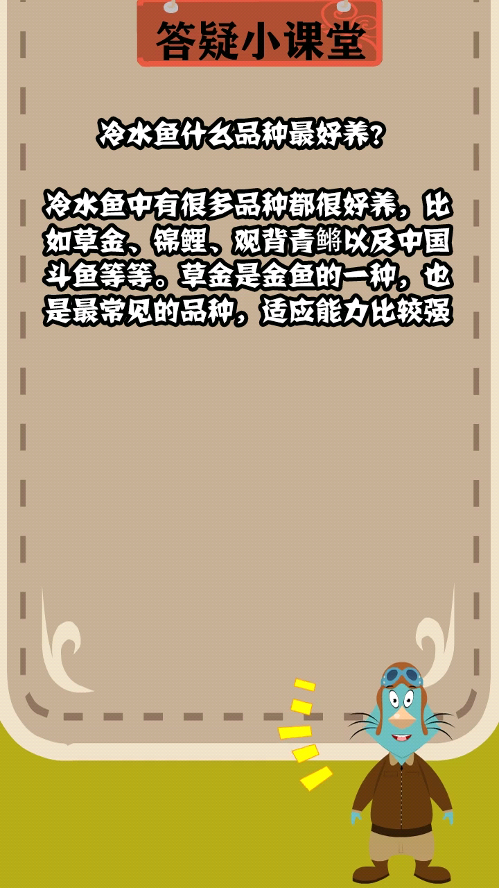 冷水鱼什么品种最好养?