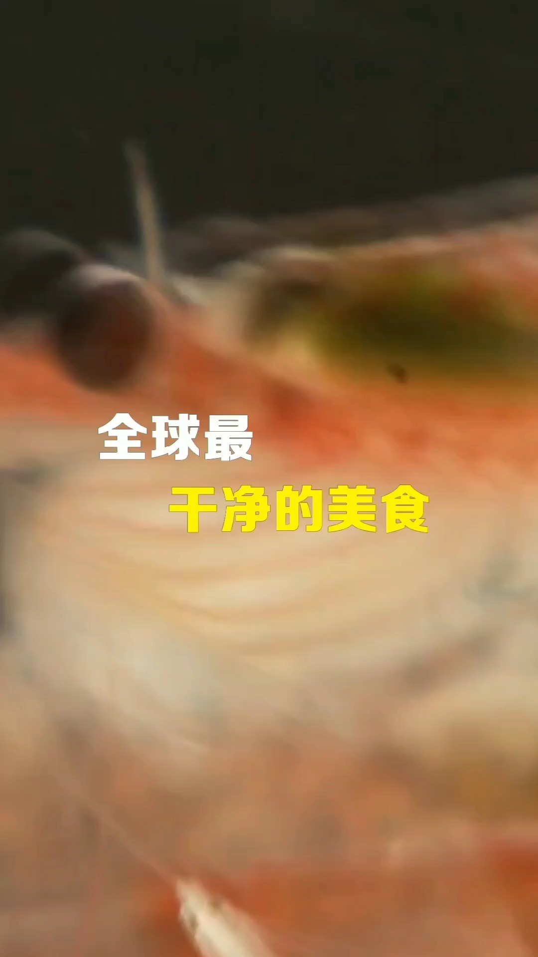 世界上最干净的美食,人类和鲸鱼抢着吃,每年要被消耗二亿吨