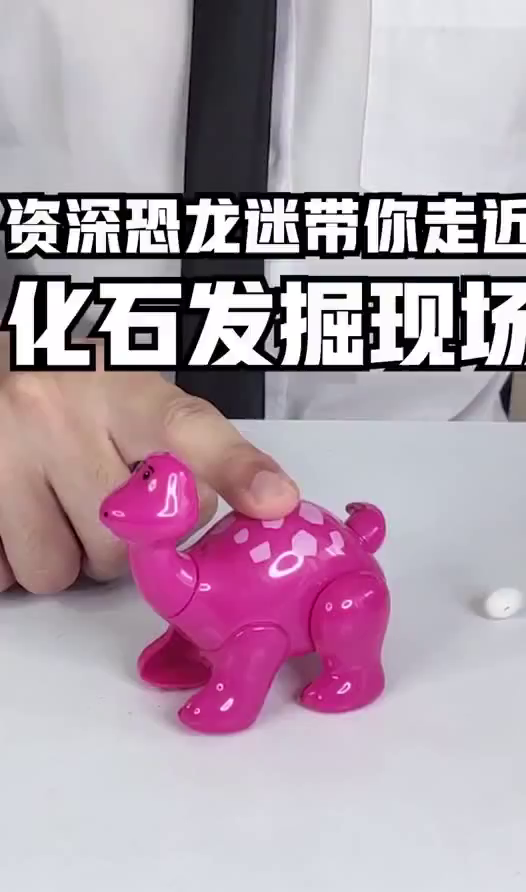 来到了恐龙化石发掘现场,心情十分激动