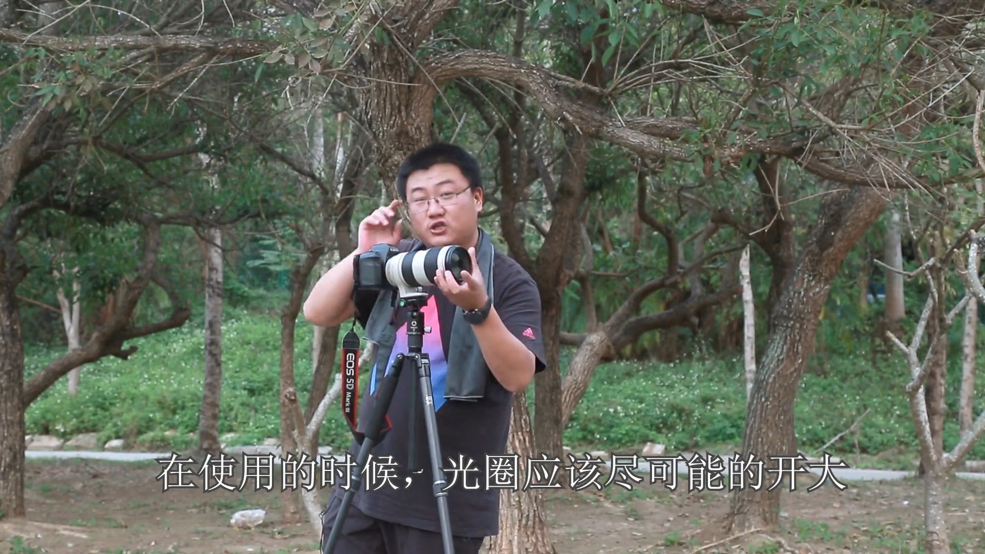 #摄影#用卡色折返滤镜,中长焦镜头拍花,甜甜圈焦外。卡色广州专卖店提供