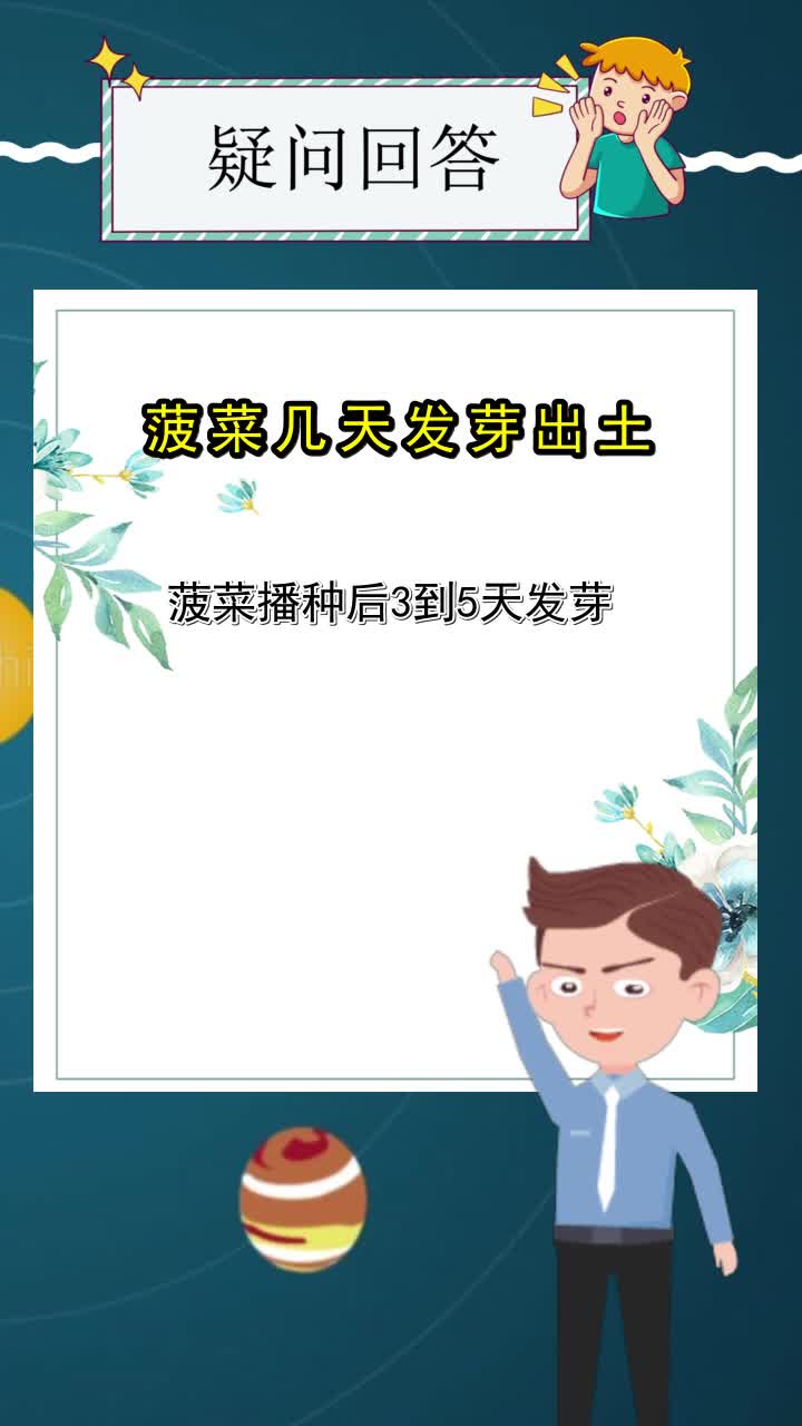 菠菜几天发芽出土,你了解了吗