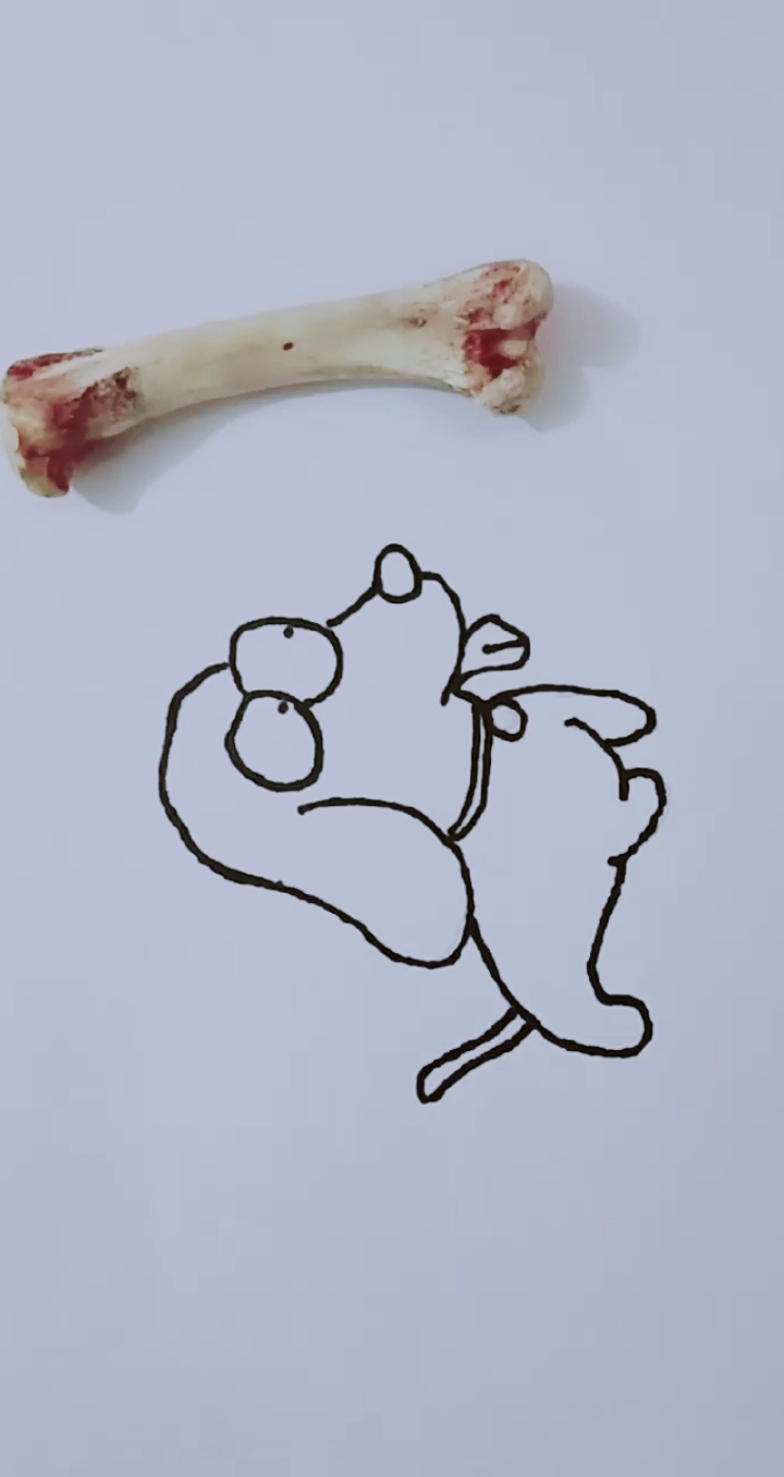 #每天分享简笔画#简笔画·小狗和肉骨头·天天分享·每天进步一点点