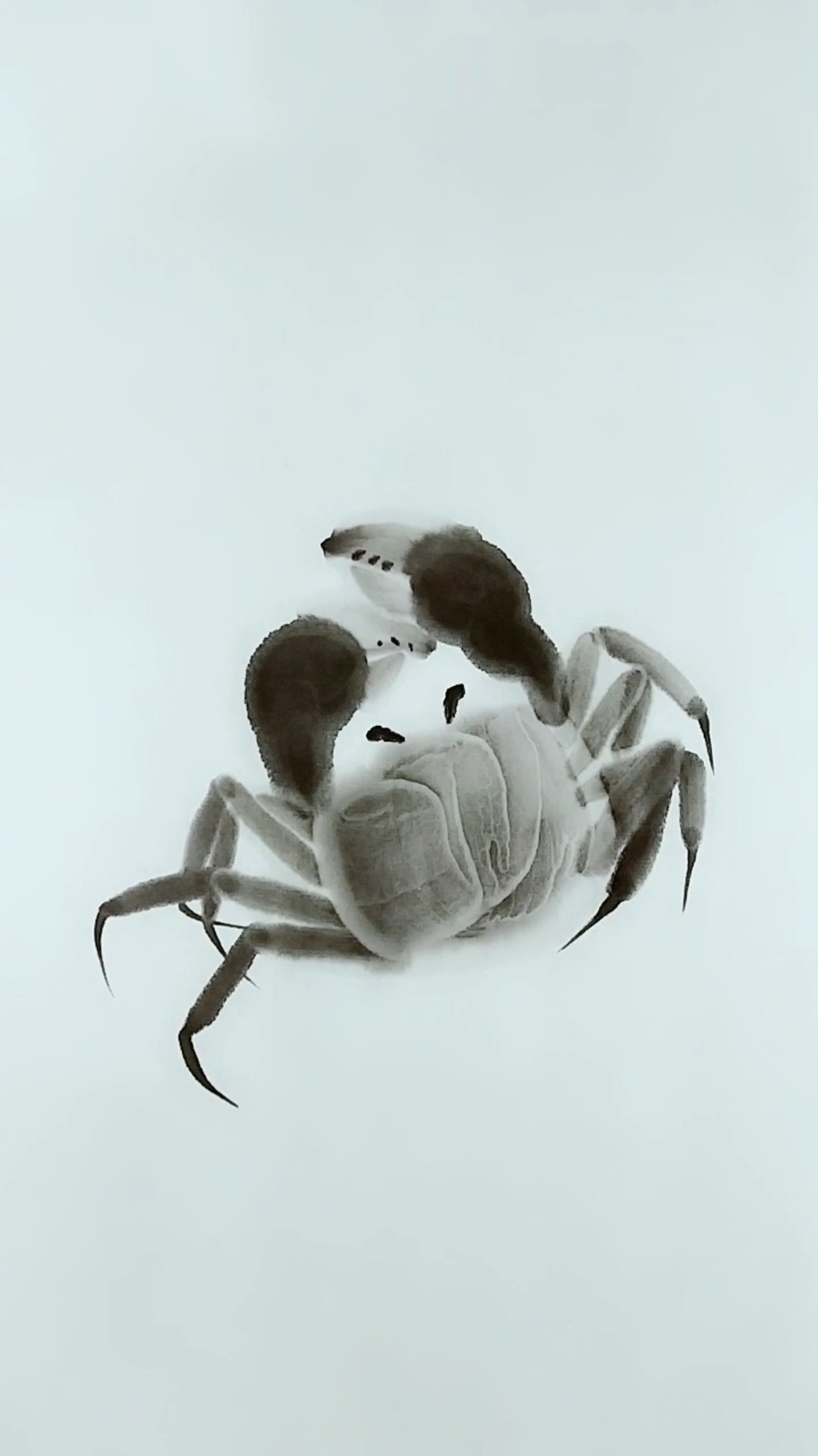 画螃蟹并不难,进来跟我的视频一起画吧