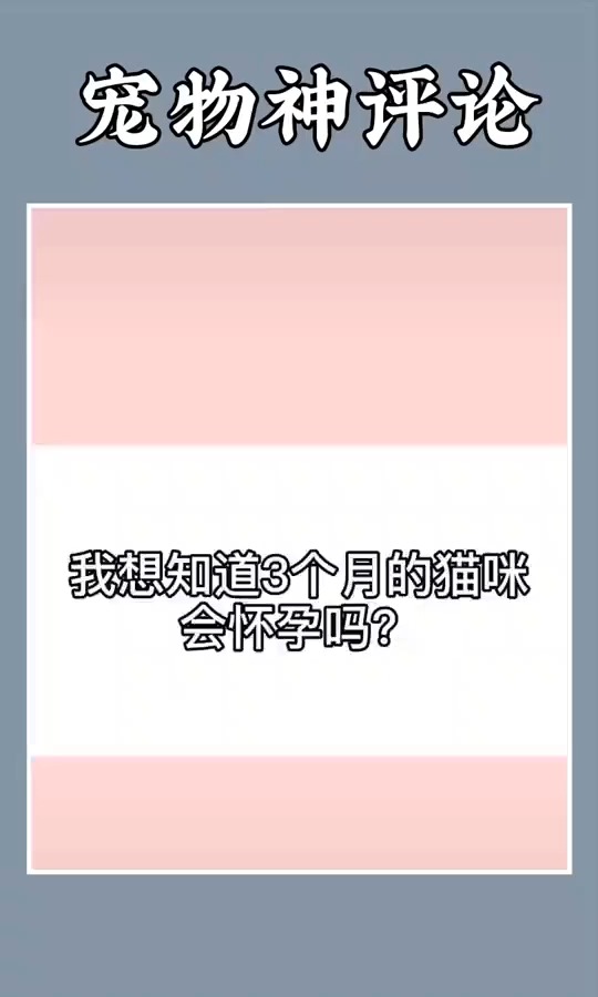 #搞笑视频#三个月的猫咪会怀孕吗？