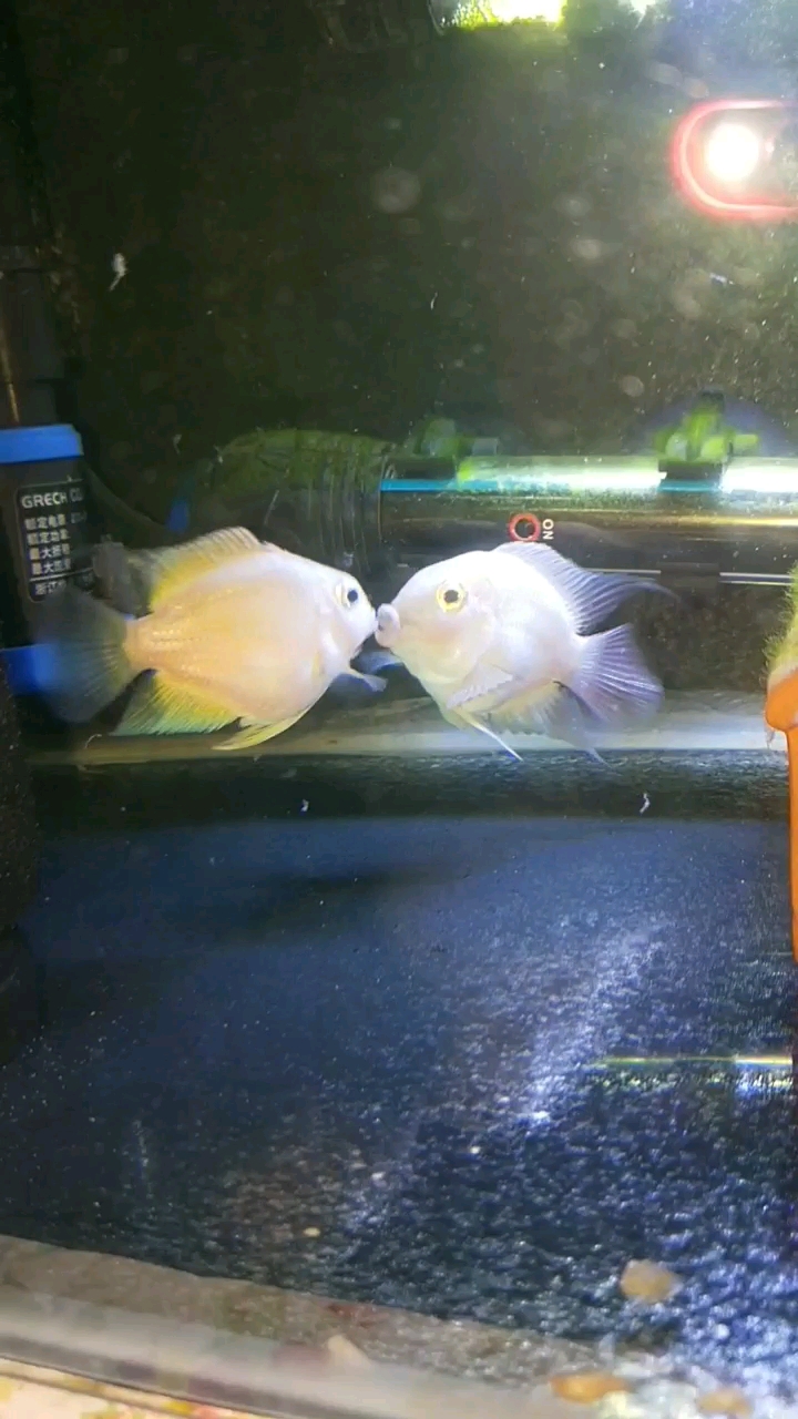 分享视频