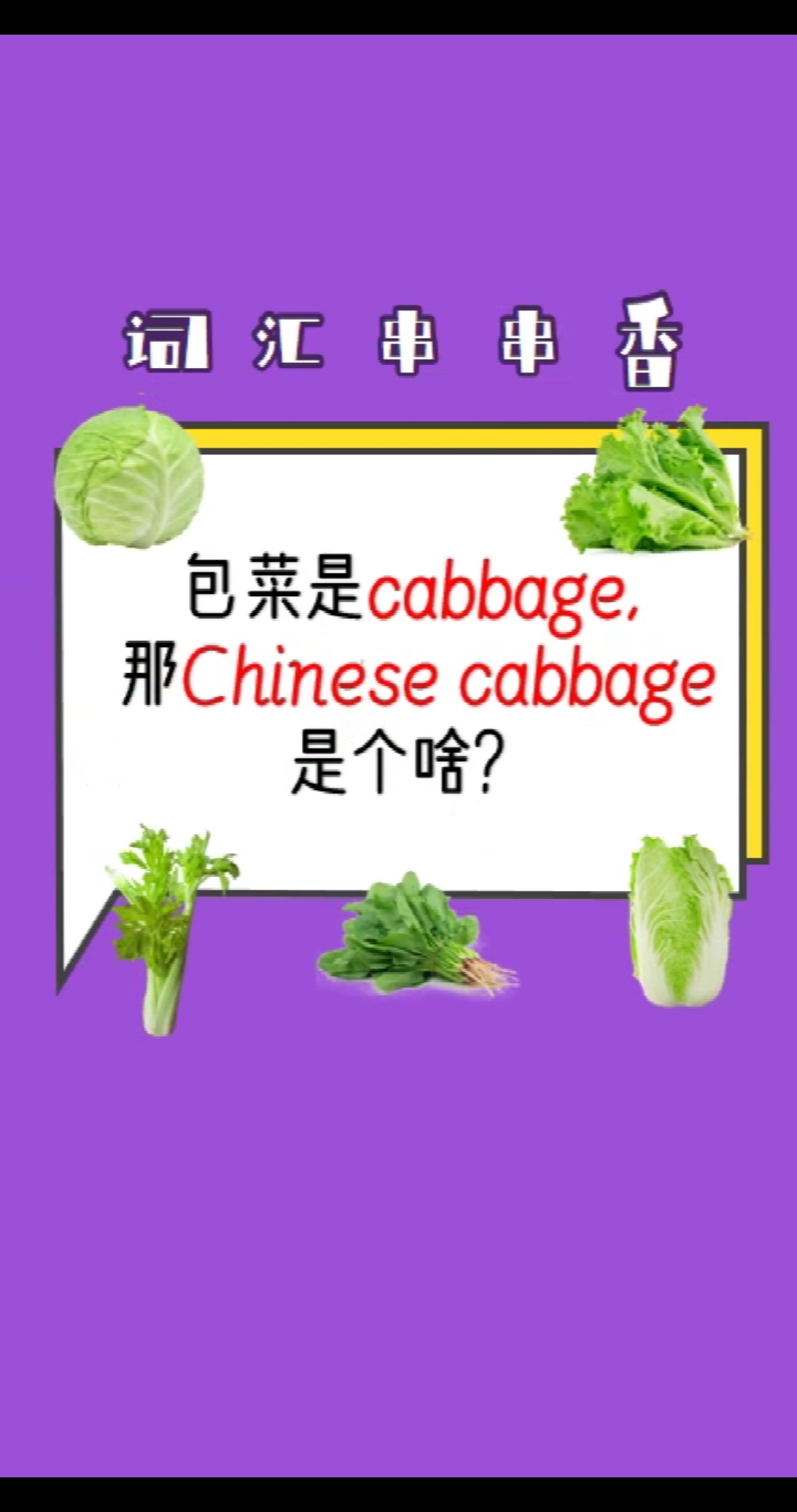#英语#包菜是Cabbage,那Chinese cabbage是个啥?