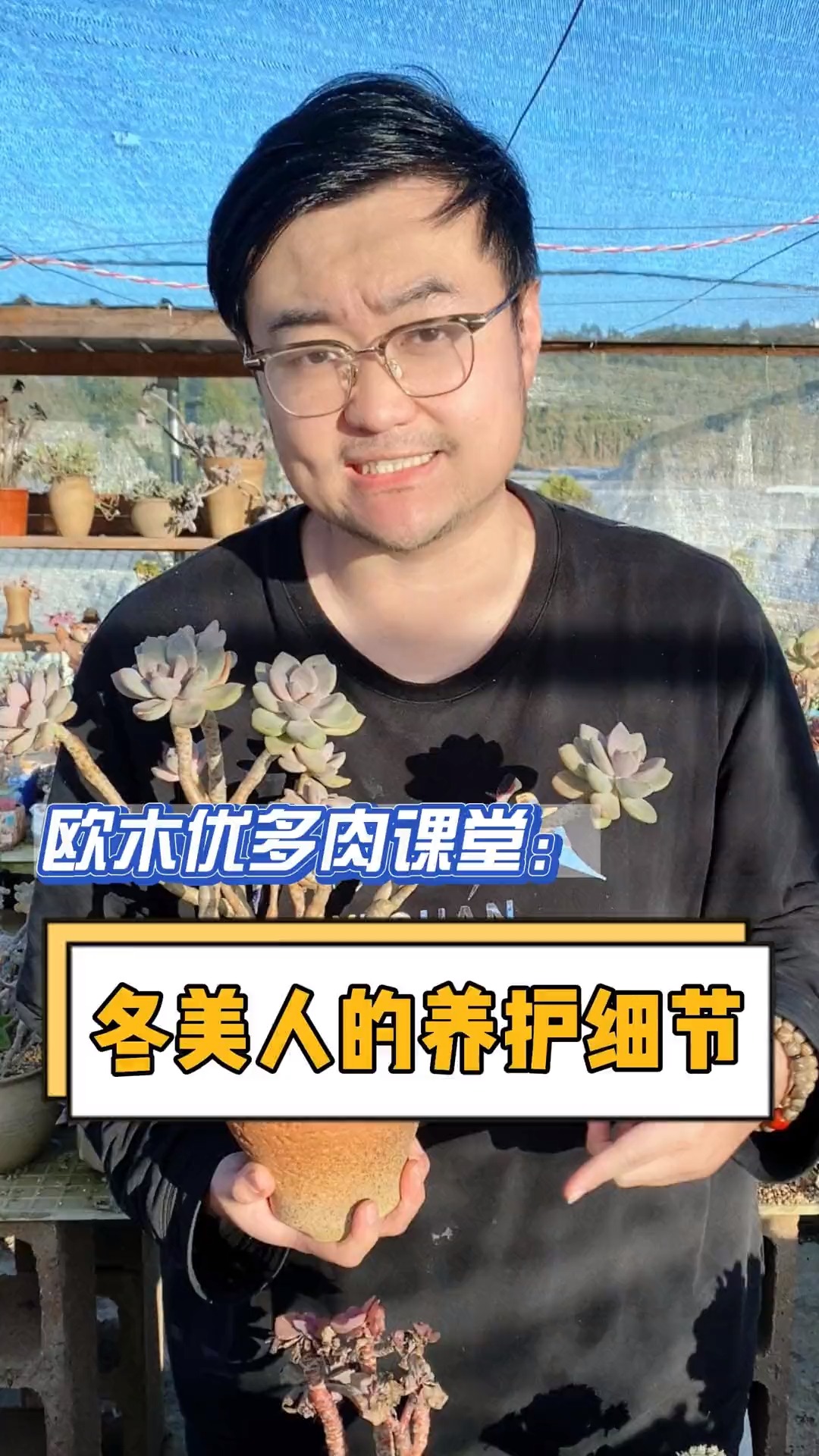 冬美人要如何养护才能出全状态？出颜色？这个视频告诉你#多肉 #多肉植物#