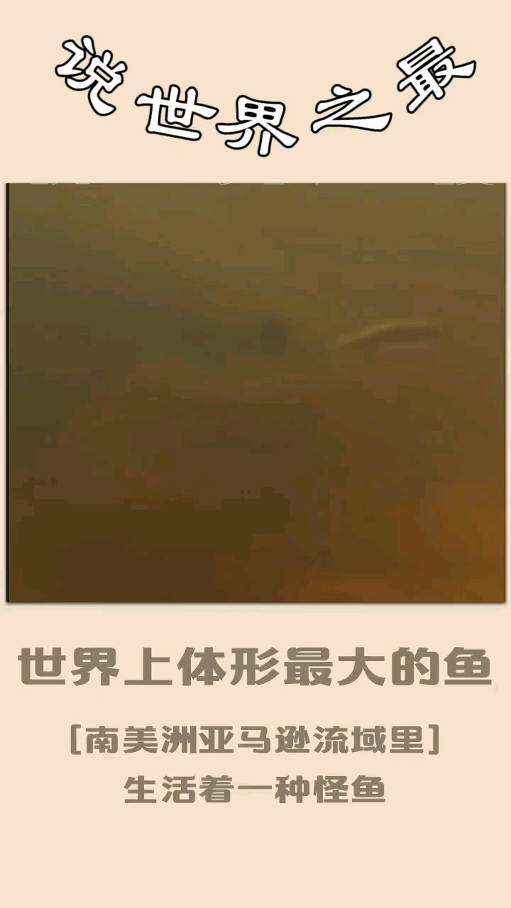 世界上体型最大的淡水鱼,你知道能顶几个人么?