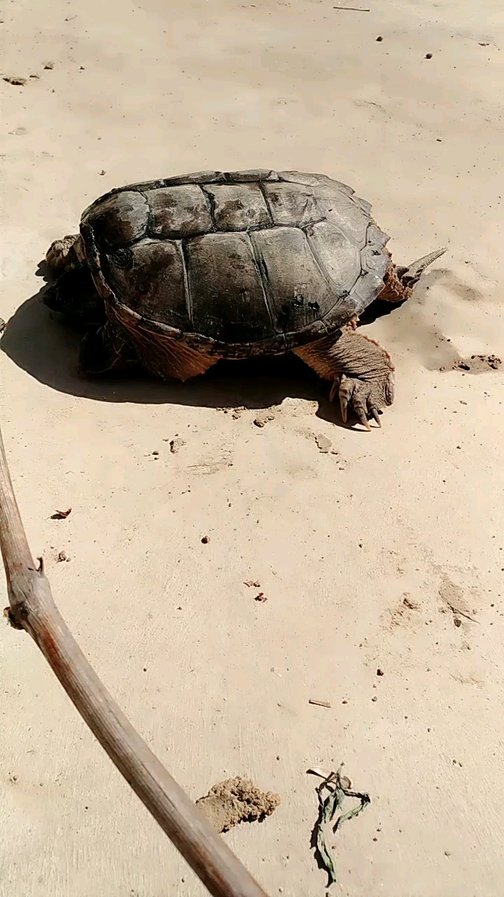 分享视频