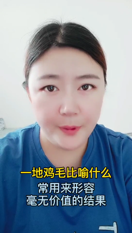 一地鸡毛比喻什么