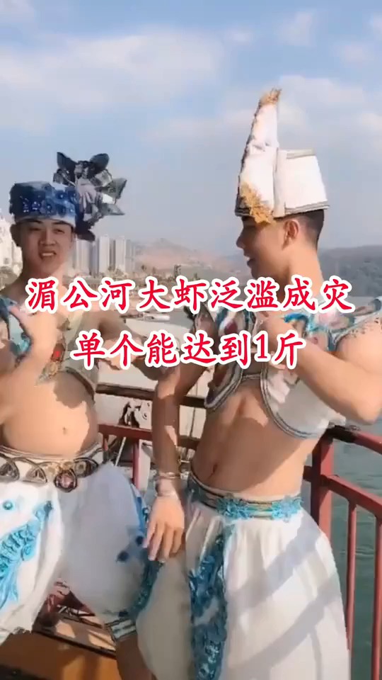 湄公河大虾泛滥成灾,在我国这种情况不存在!