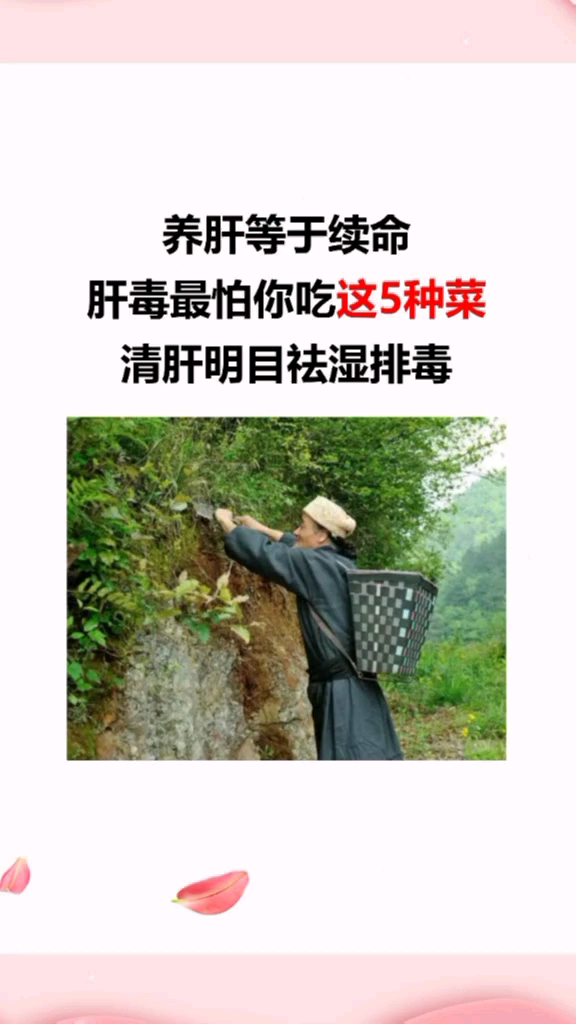 养生