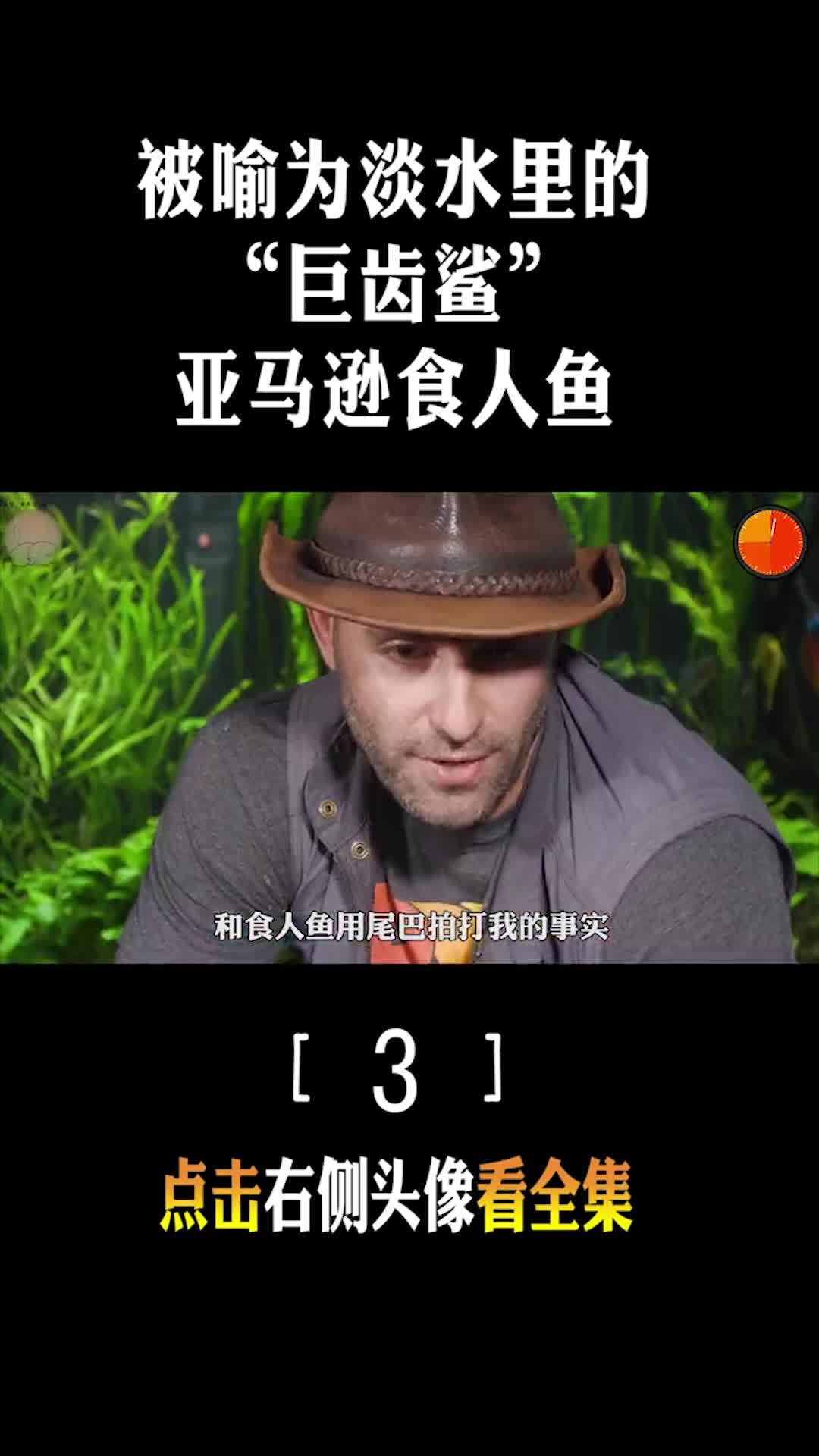 #动物视频#27