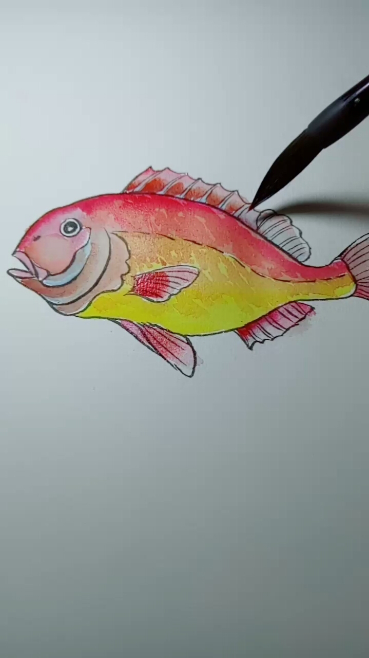 水彩手绘鱼染色