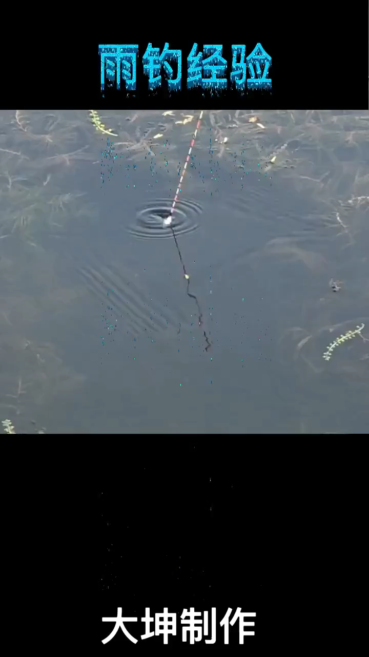 下雨天钓鱼技巧口诀