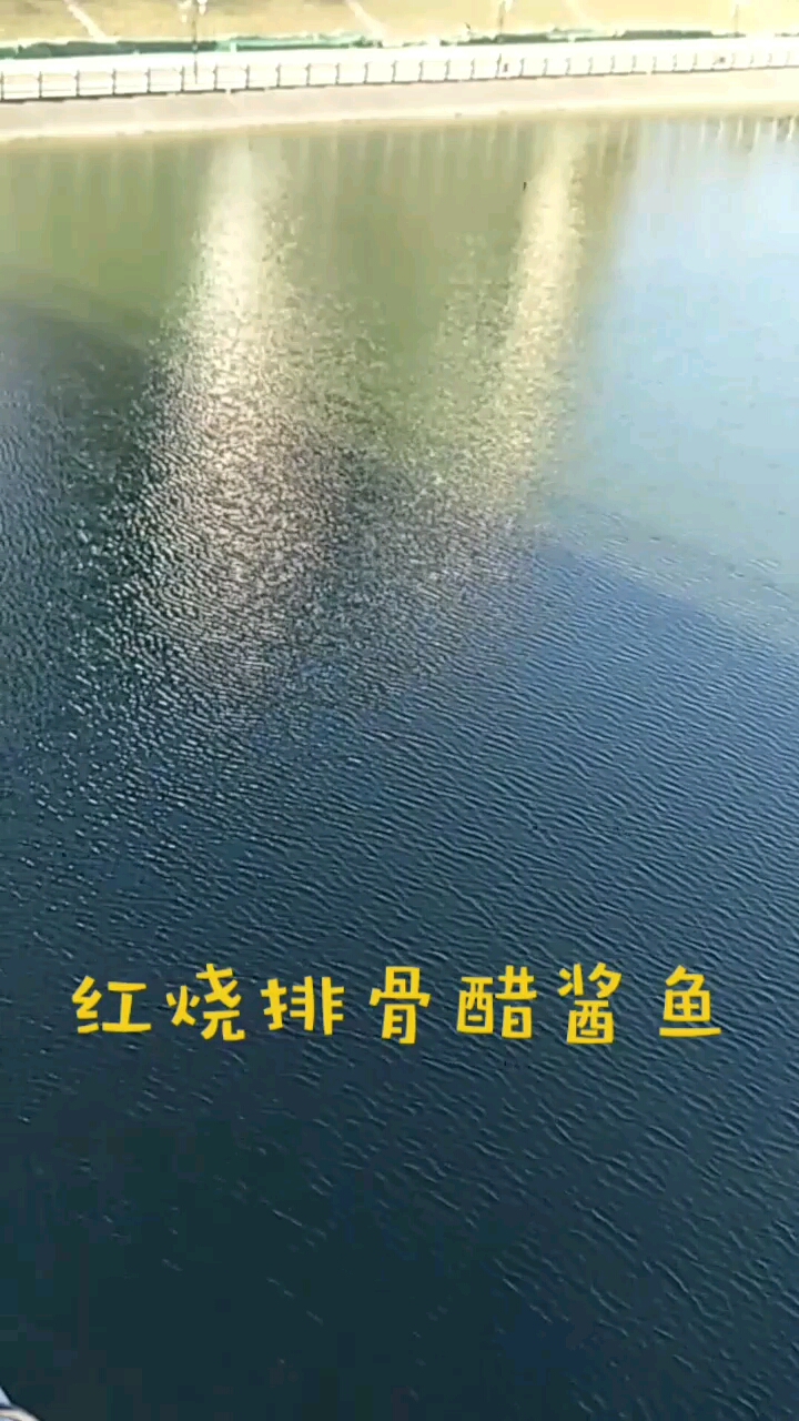 红烧排骨醋酱鱼