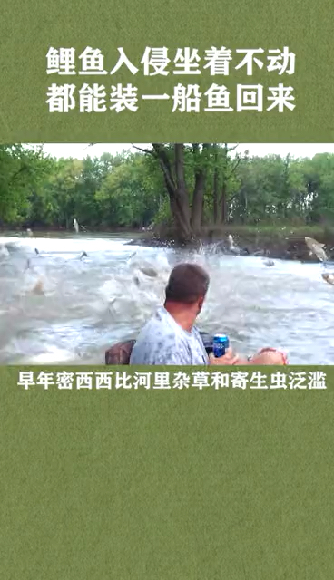 鲤鱼泛滥成灾,坐船在河里开一圈装一船鱼回来。