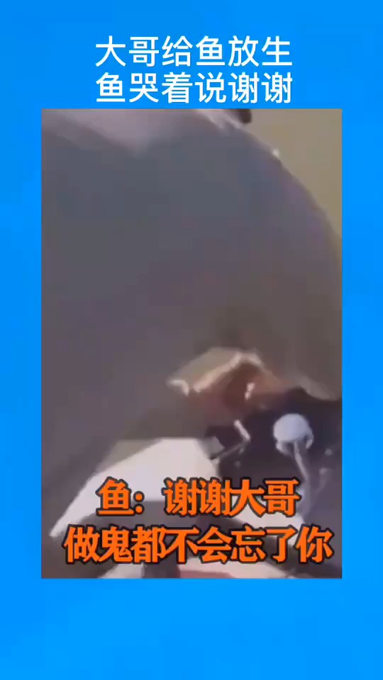 #搞笑视频#大哥给鱼放生,鱼哭了