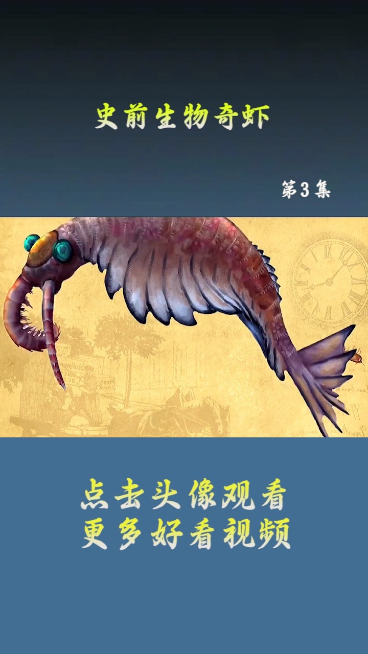 史前生物奇虾有多大