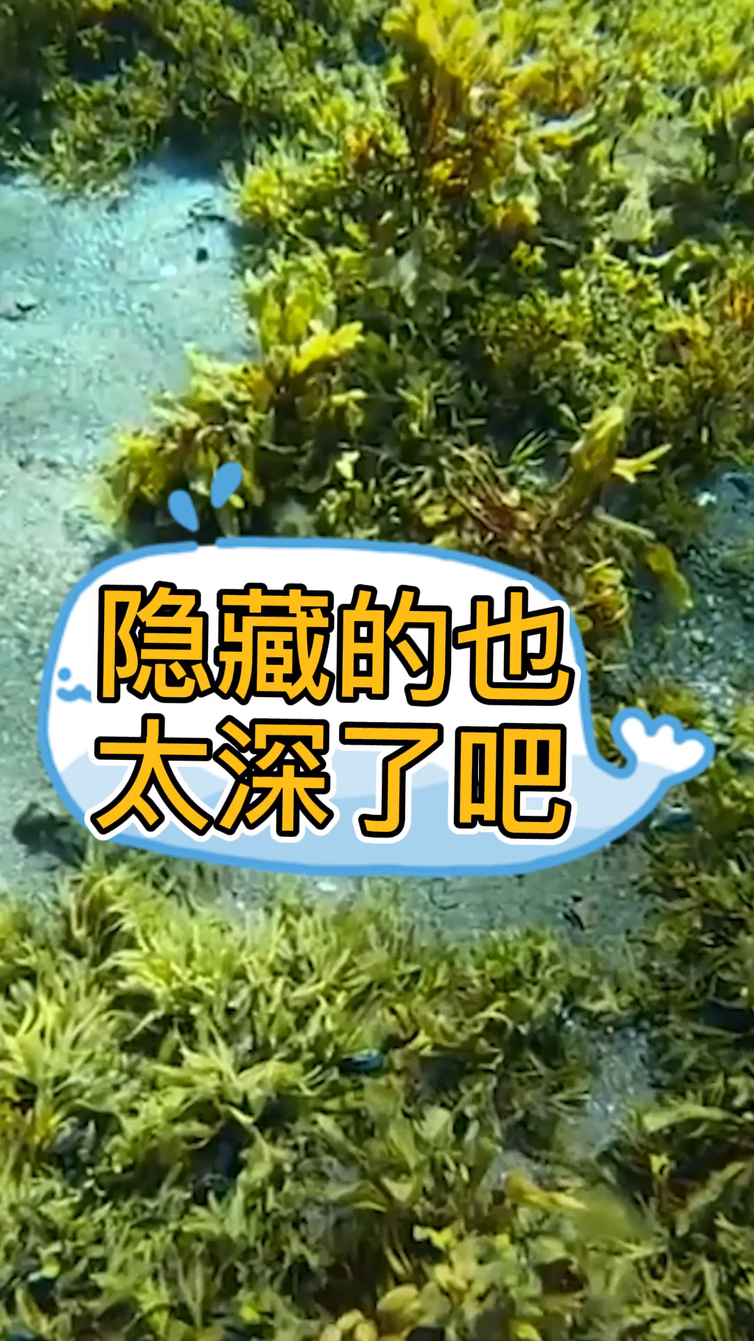 这条菱鲆鱼隐藏的也太深了吧?也就我眼神好,水下光线如此昏暗也能发现