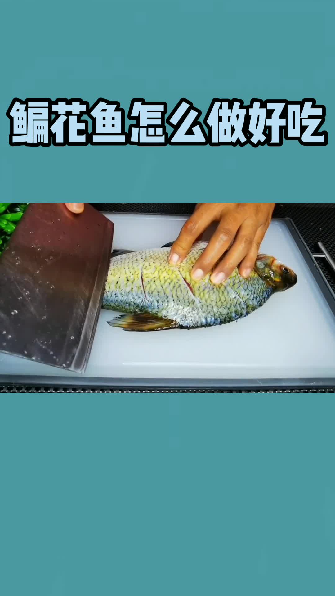 鳊花鱼怎么做好吃,你知道了吗
