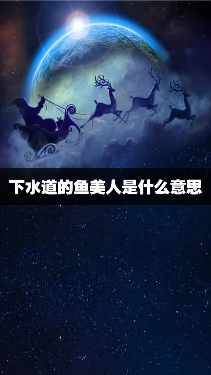 下水道的鱼美人是什么意思