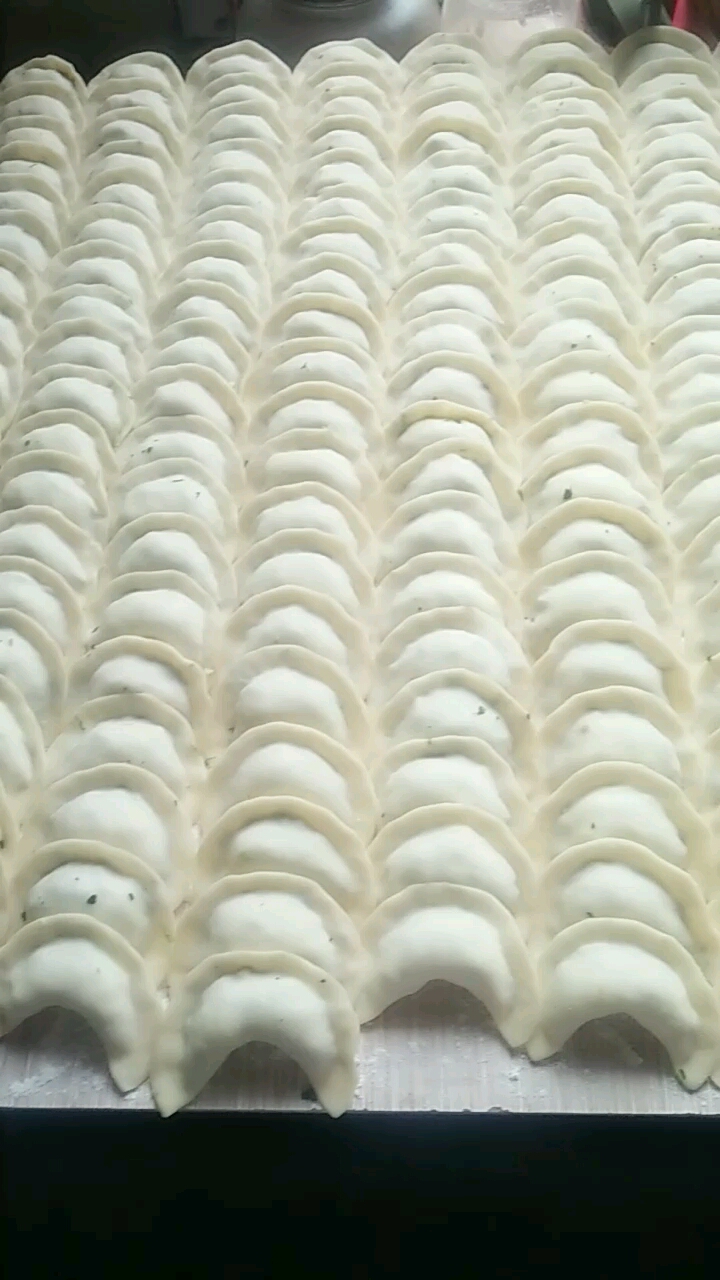 刚包好的荠菜饺子