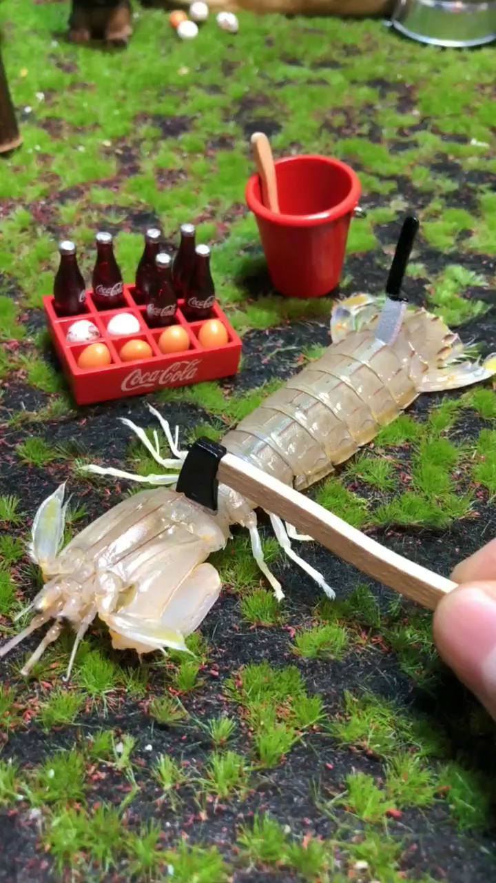 皮皮虾我们走