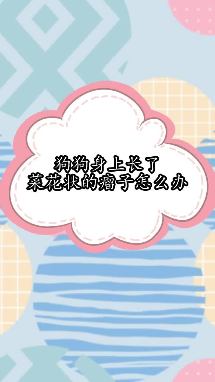 狗狗身上长了菜花状的瘤子怎么办,你清楚了吗