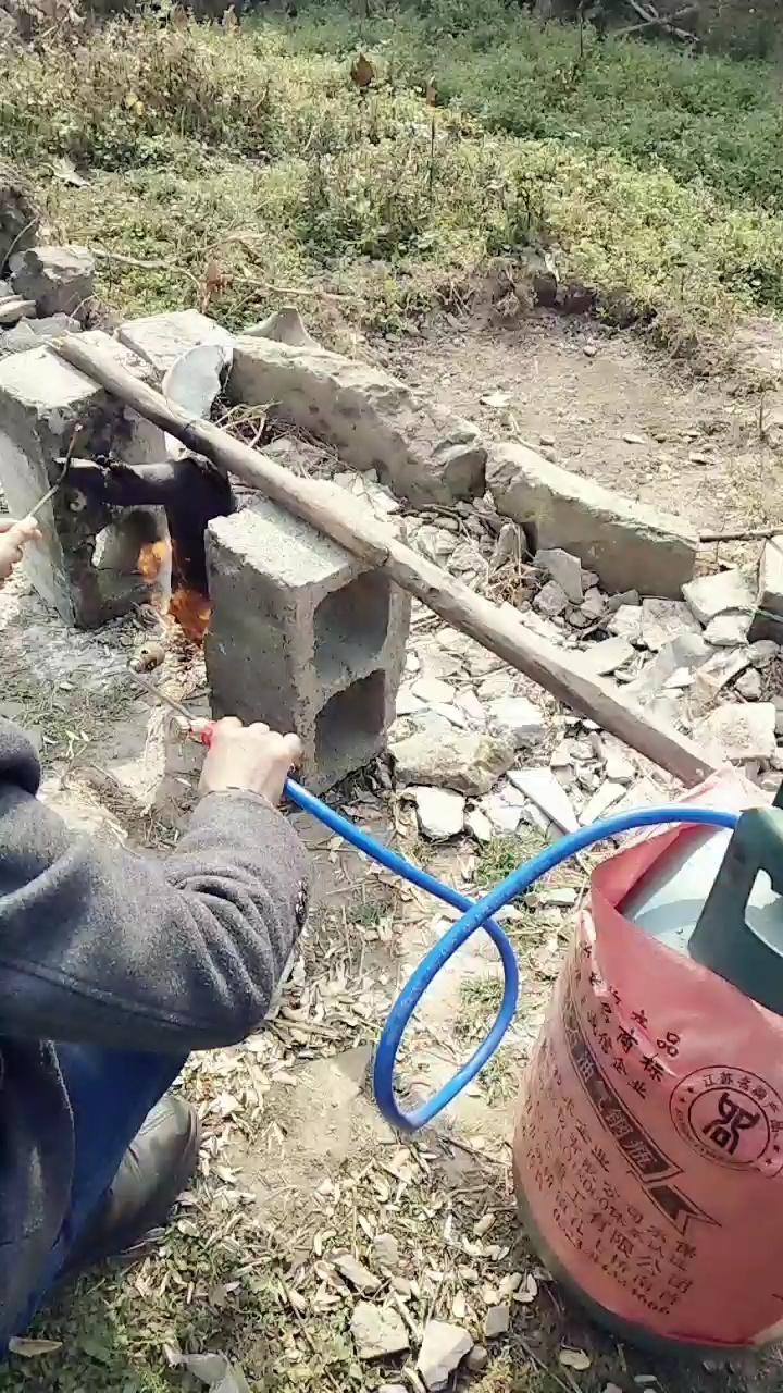 大年三十来一只红烧猪蹄