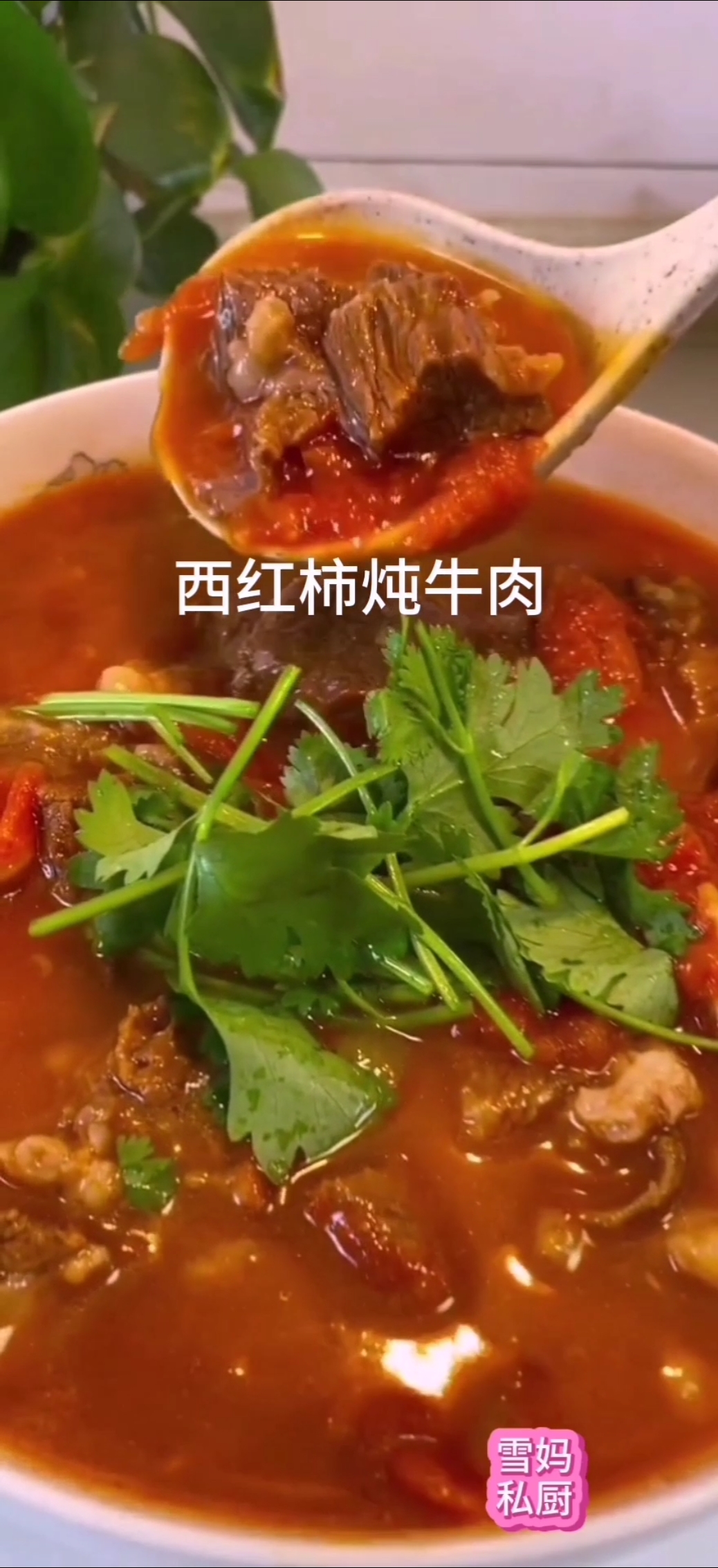 #美食#西红柿炖牛肉,美味可口,汤都好喝!!!