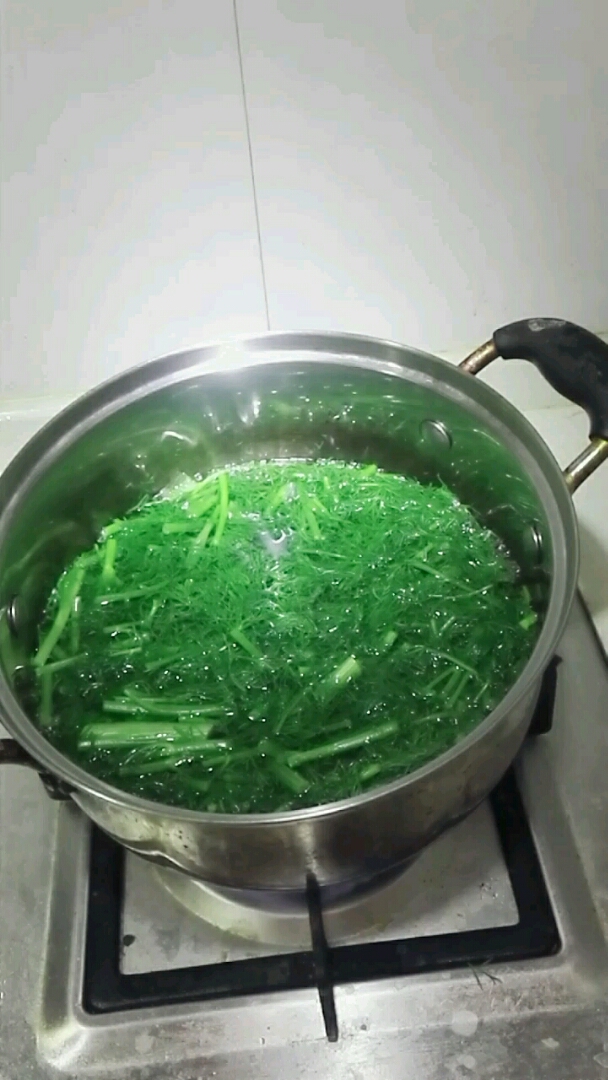 茴香菜