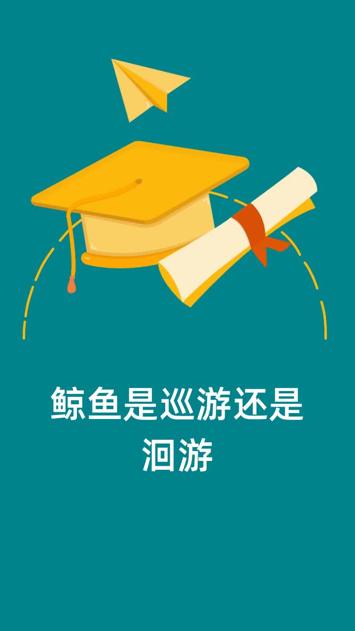 鲸鱼是巡游还是洄游