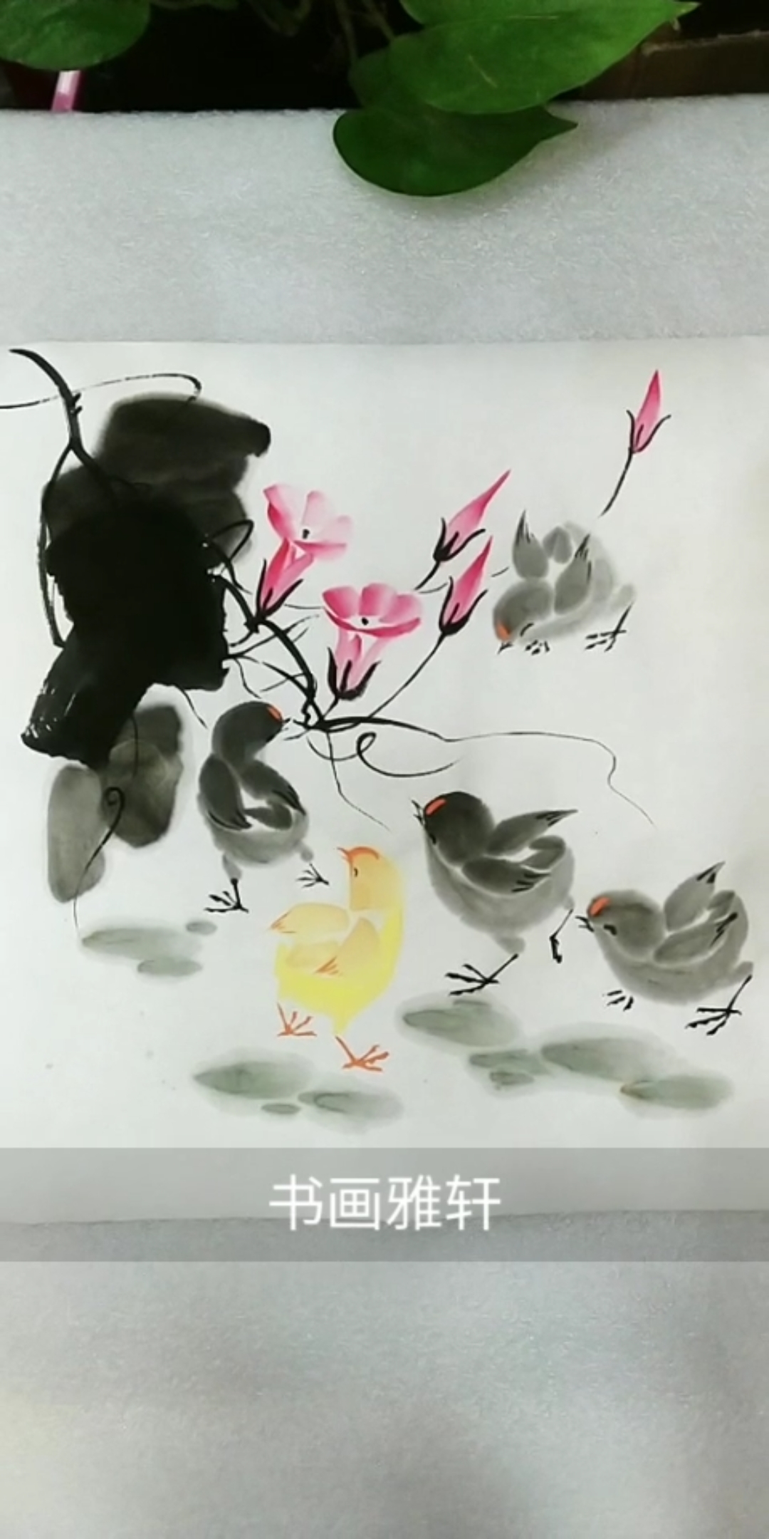 #中国画#给小鸡配上牵牛花祝朋友们《富贵吉祥》