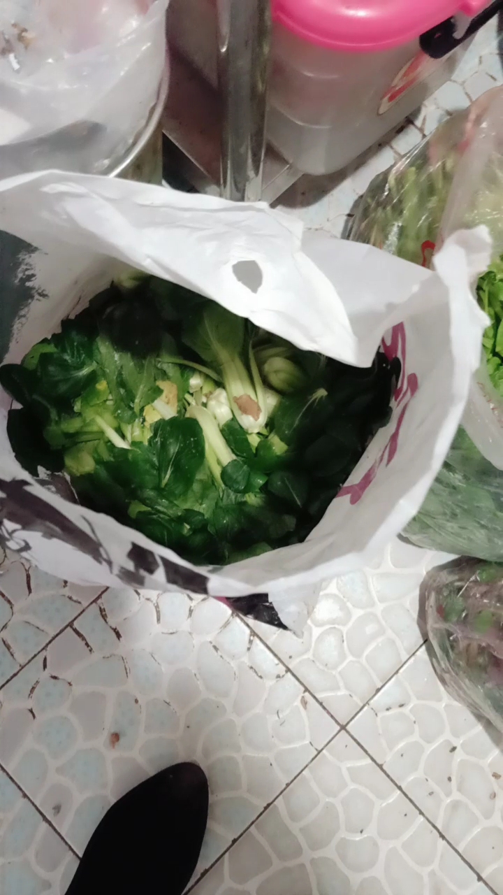 满满的爱,外面下着大雨我爸爸坐了一个多小时的车,给我拿的青菜、肉、一只大白鹅。