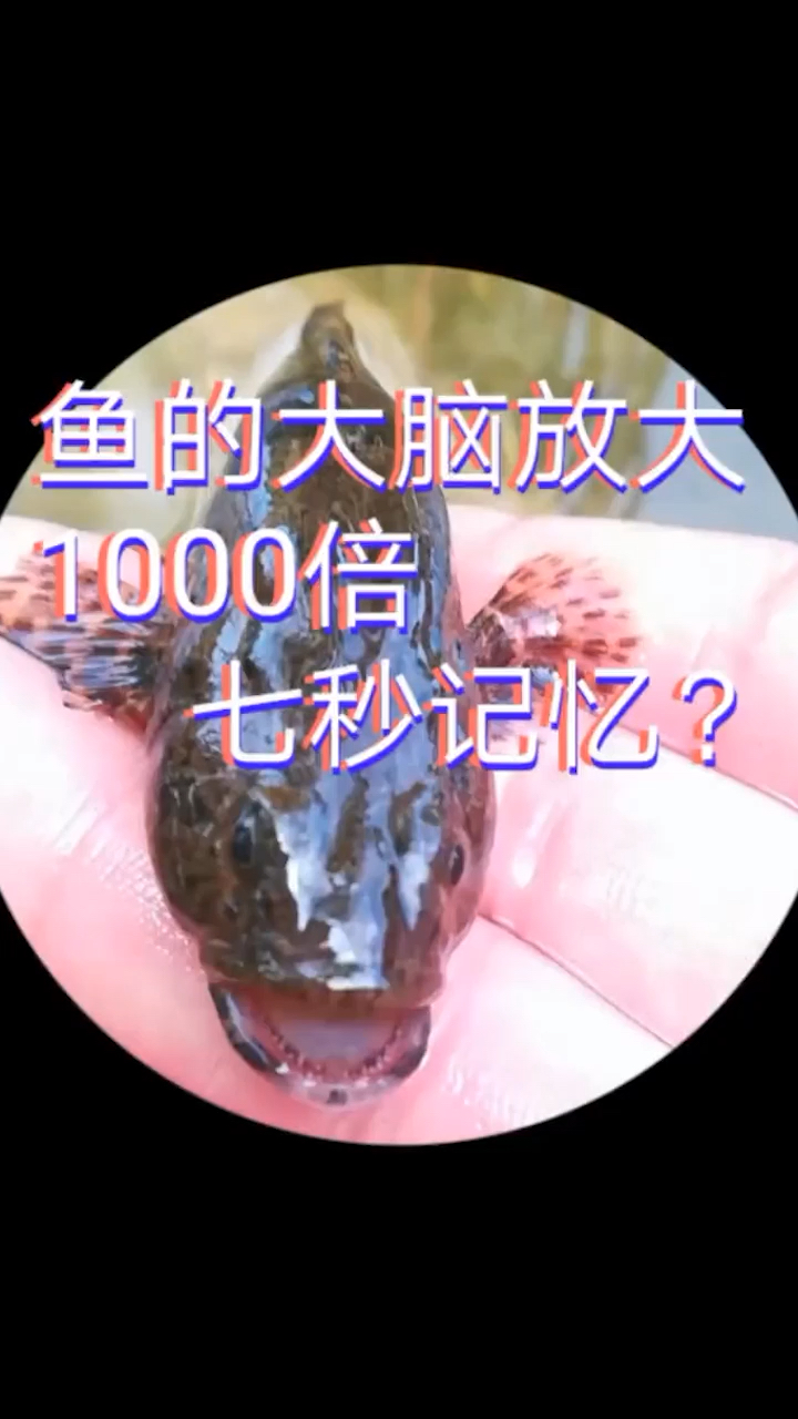 长知识了