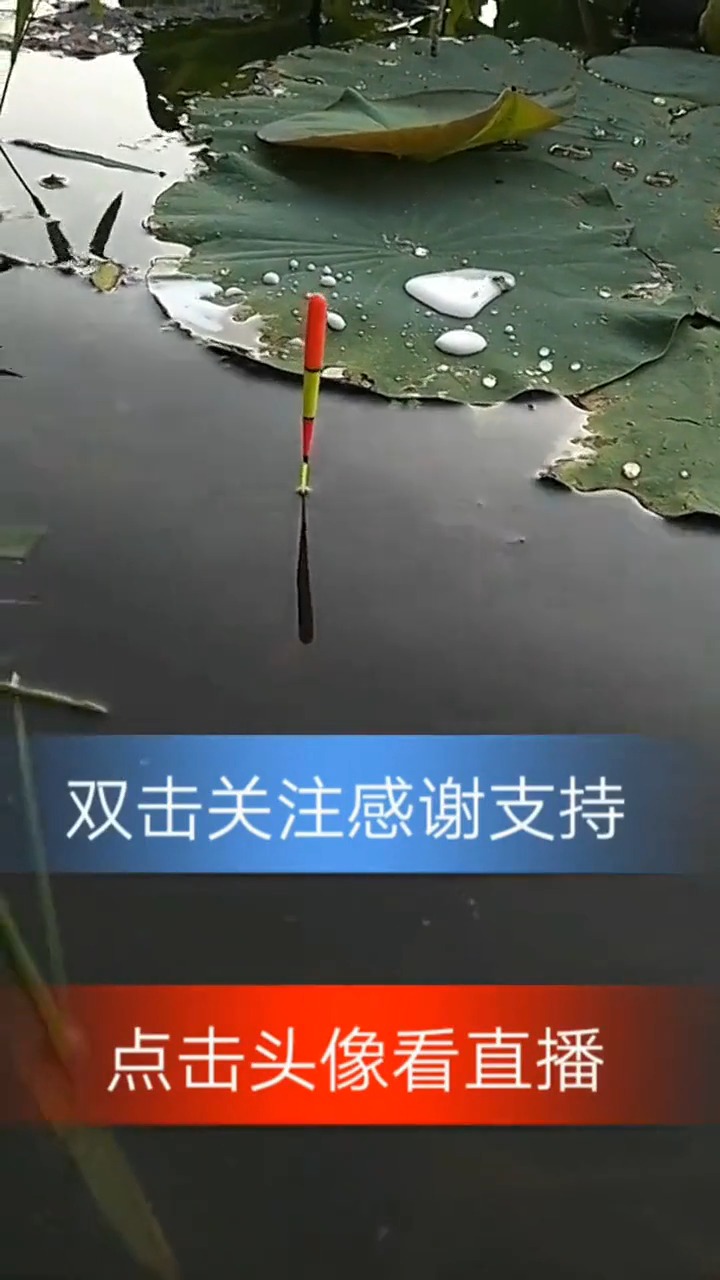 #娱乐#钓鱼人必知的七深七浅,这操作真是牛啊,看鱼漂就知道了