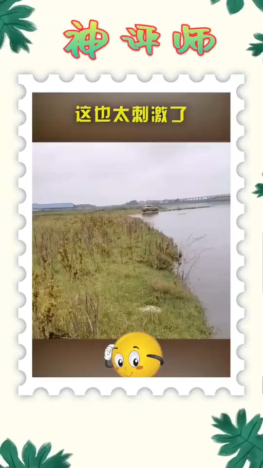 #搞笑视频#去河边玩,居然看到这一幕,这鱼是活够了吗?