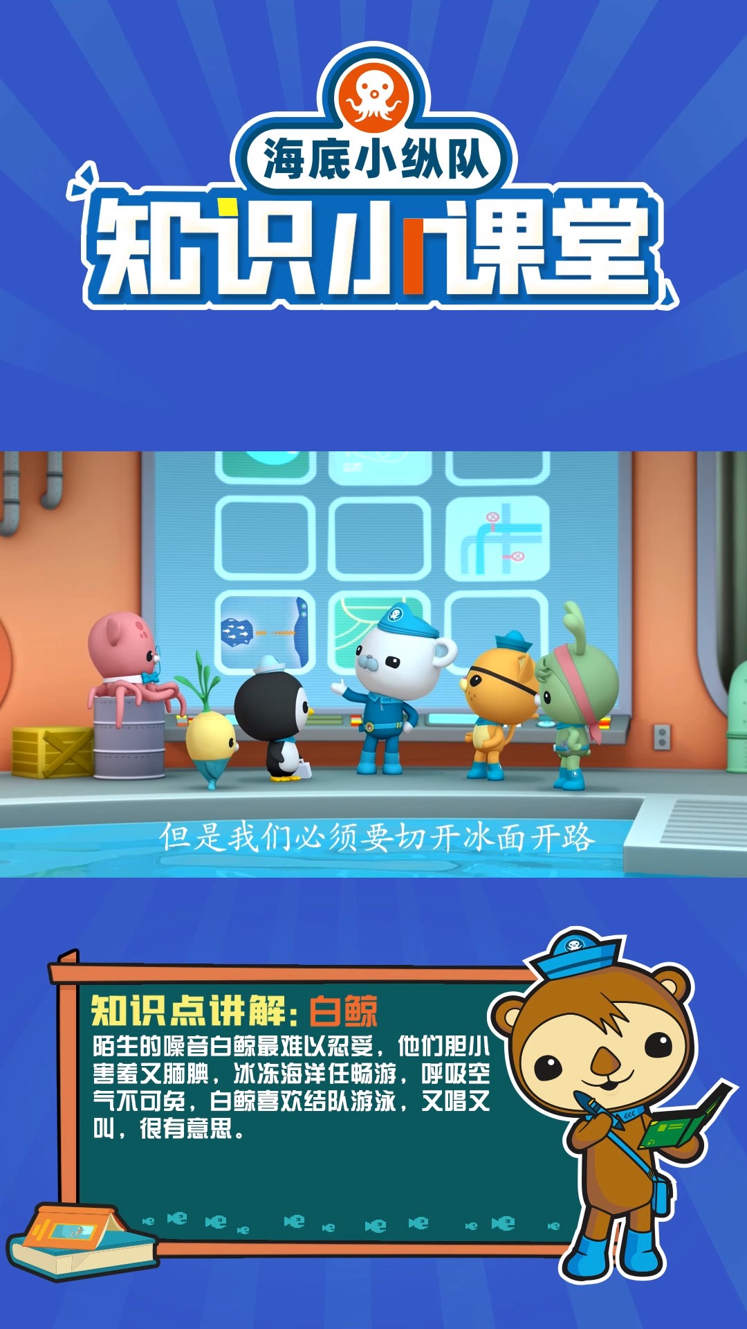 海底小纵队知识小课堂,又叫又跳的白鲸,你了解多少呢?快来get~