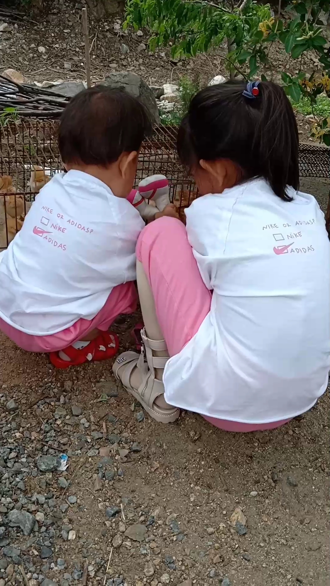 她要把娃娃装进笼子里  让小娃娃看着小鸡   