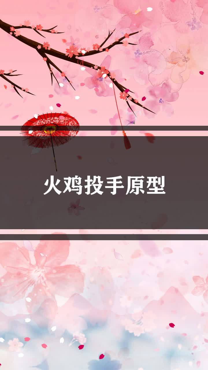 火鸡投手原型