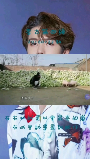 王一博携白菜和猪给大家拜个早年