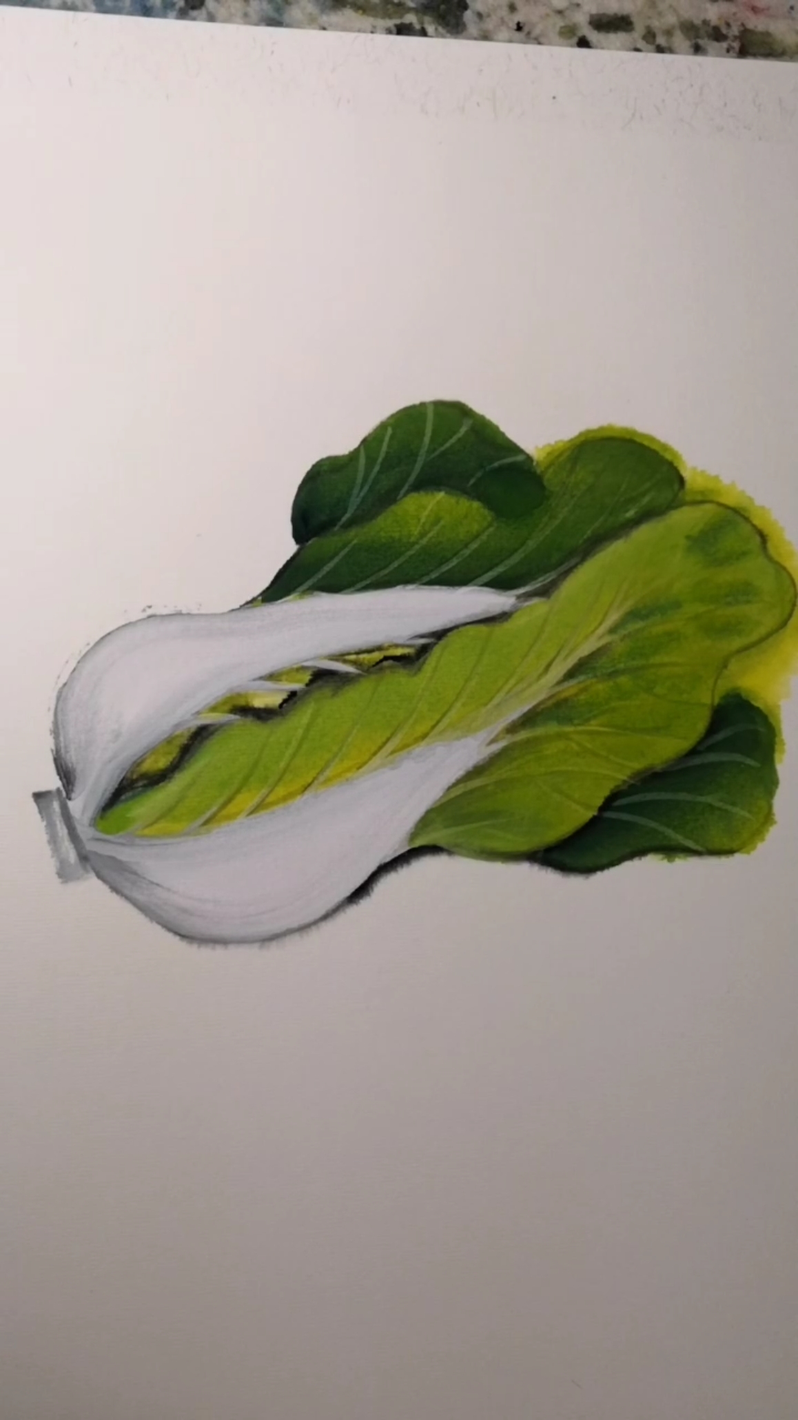 #画画原来如此简单#今天画个大白菜@全民小助手