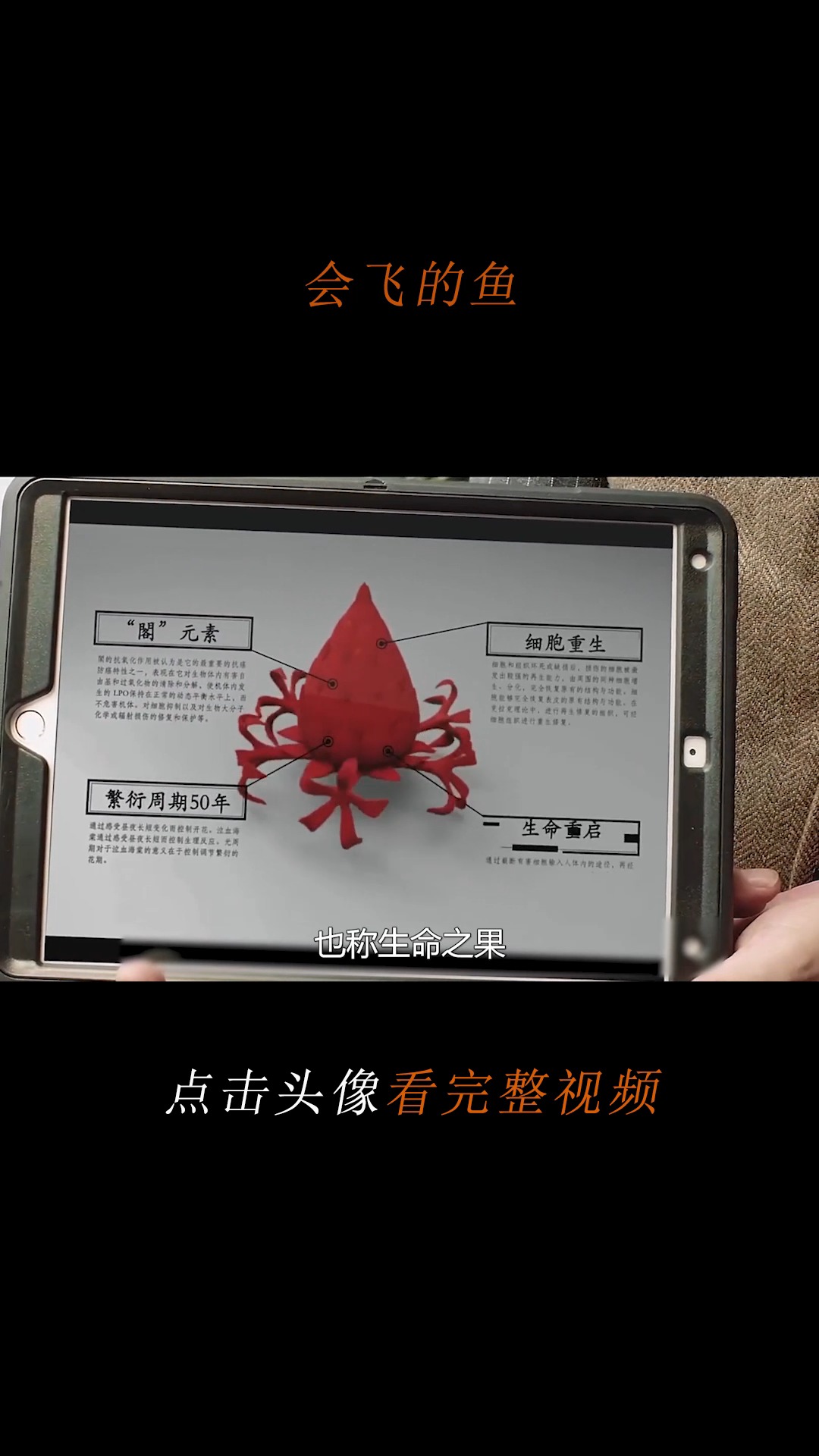 #精彩影视#会飞的鱼,大蛇